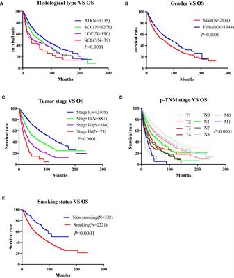 OSluca: An Interactive Web Server to Evaluate Prognostic Biomarkers for Lung Cancer